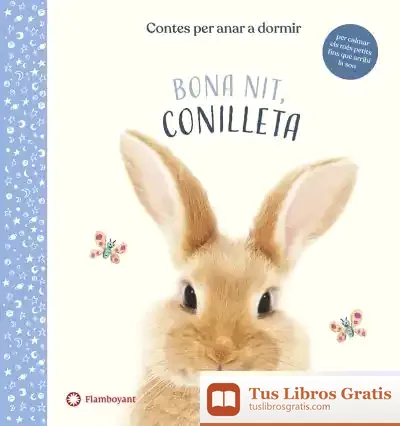 Descargar Bona Nit, Conilleta de A. J. Wood