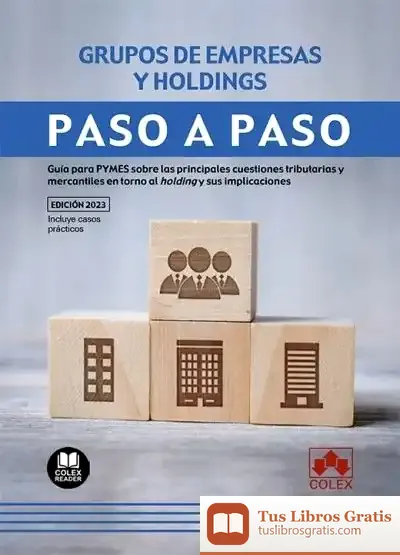 Descargar Grupos De Empresas Y Holdings. Paso A Paso de Javier Vergara Ciordia