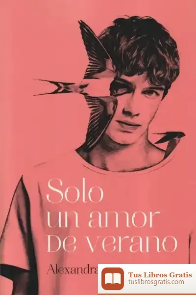 Descargar Solo Un Amor De Verano