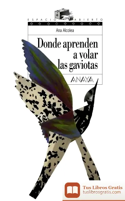Descargar Donde Aprenden A Volar Las Gaviotas de Ana Alcolea