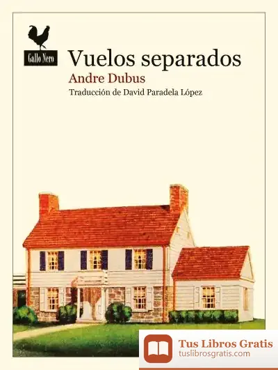 Descargar Vuelos Separados