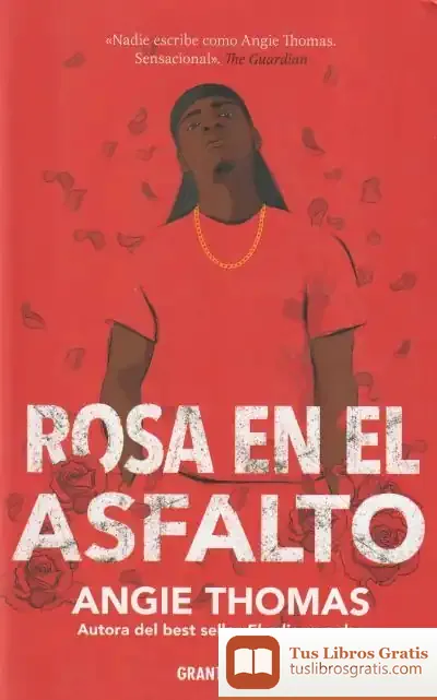 Descargar Rosa En El Asfalto de Angie Thomas