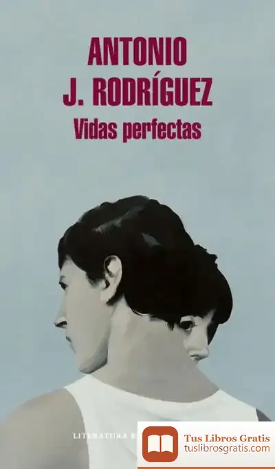 Descargar Vidas Perfectas