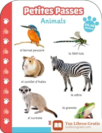 Descargar Petites Passes - Animals 24-36 Mesos