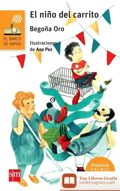 Descargar El Niño Del Carrito de Begoña Oro