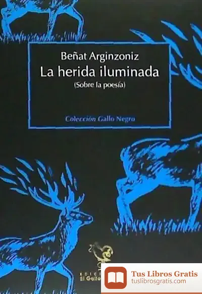 Descargar La Herida Iluminada de Beñat Arginzoniz Cebreiro