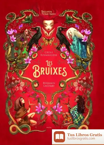 Descargar Les Bruixes de Benjamin Lacombe