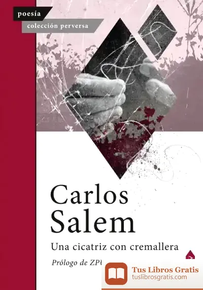 Descargar Una Cicatriz Con Cremallera de Carlos Salem