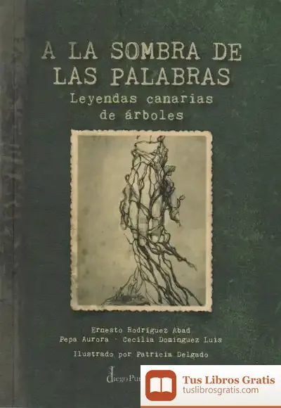 Descargar A La Sombra De Las Palabras de Cecilia Domínguez Luis