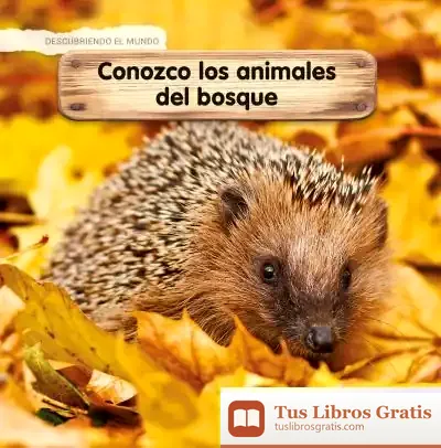 Descargar *Aprendo Los Animales Del Bosque de Céline Lamour-crochet