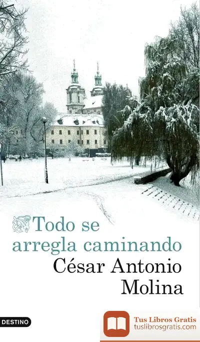 Descargar Todo Se Arregla Caminando de César Antonio Molina