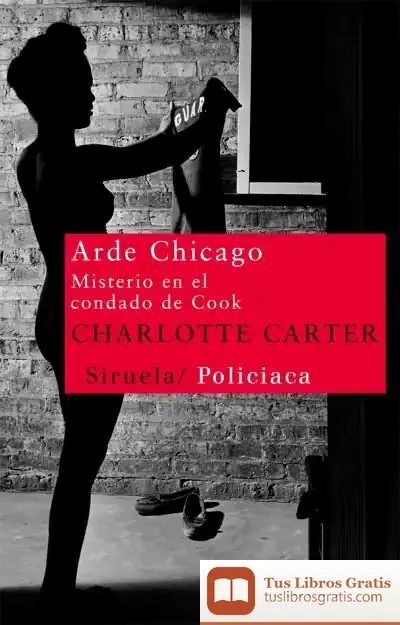 Descargar Arde Chicago