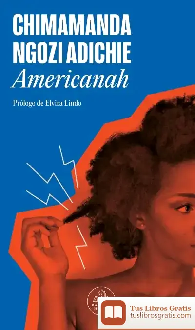 Descargar Americanah de Chimamanda Ngozi Adichie