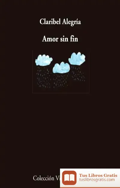 Descargar Amor Sin Fin