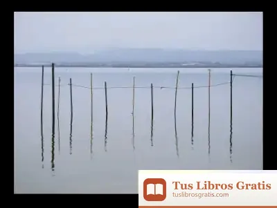 Descargar Invers
