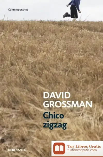 Descargar Chico Zigzag