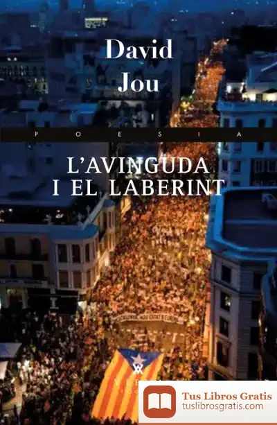 Descargar L'Avinguda I El Laberint de David Jou I Mirabent