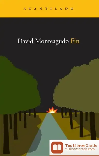 Descargar Fin de David Monteagudo