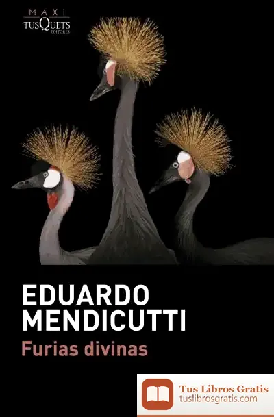 Descargar Furias Divinas de Eduardo Mendicutti