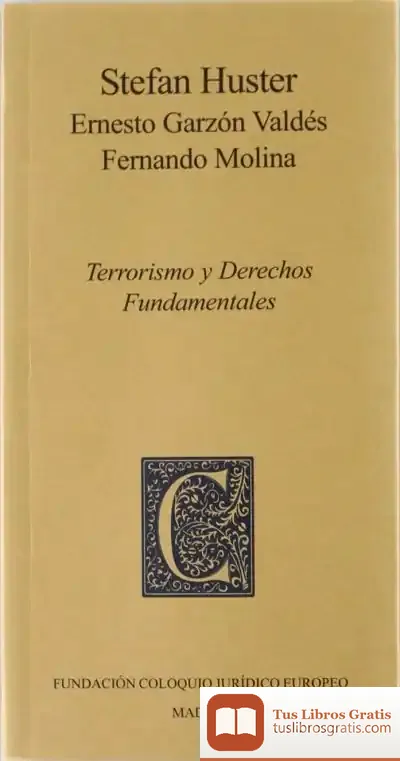 Descargar Terrorismo Y Derechos Fundamentales de Batya Gur