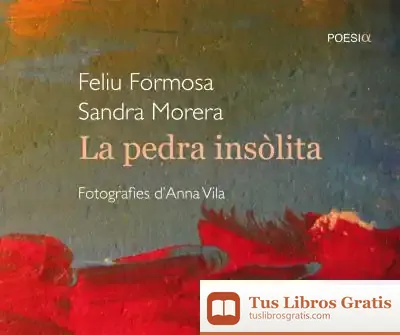 Descargar La Pedra Insòlita de Feliu Formosa