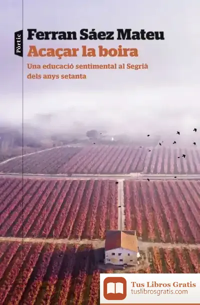 Descargar Acaçar La Boira de Ferran Sàez Mateu