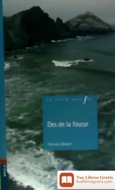 Descargar Des De La Foscor de Francesc Gisbert