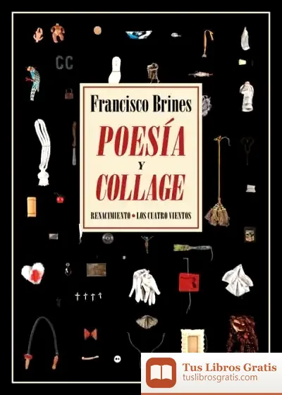 Descargar Poesía Y Collage