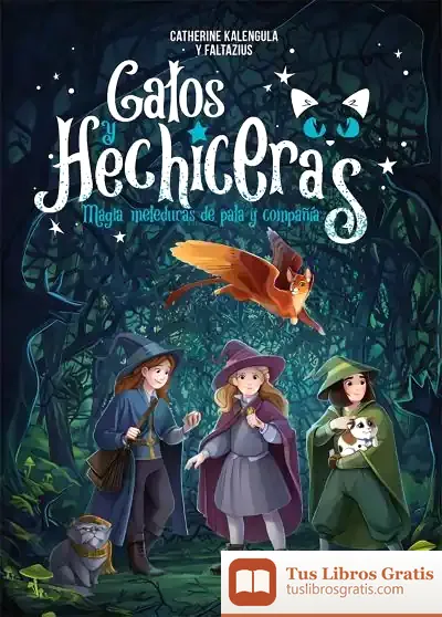 Descargar Gatos Y Hechiceras