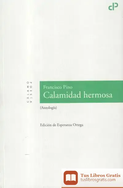 Descargar Calamidad Hermosa de Stephen King