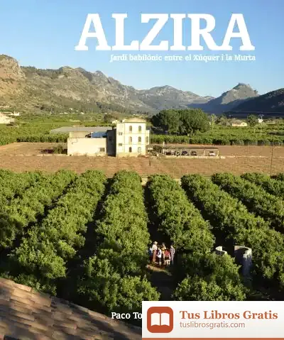 Descargar Alzira