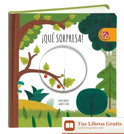 Descargar ­Qué Sorpresa!
