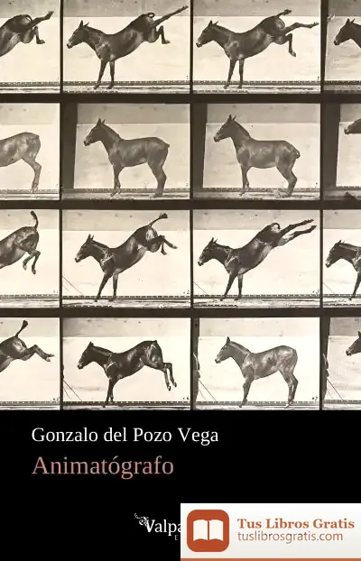 Descargar Animatógrafo de Gonzalo del Pozo Vega