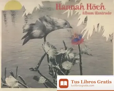 Descargar Album Ilustrado