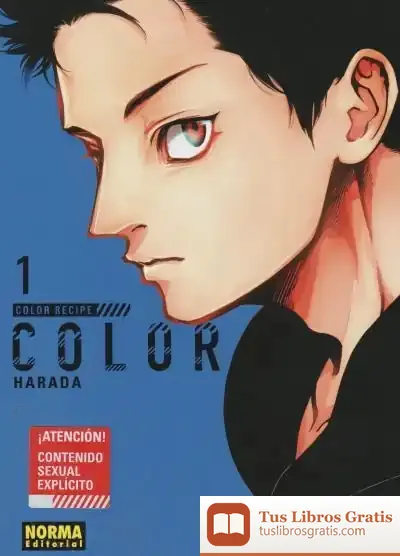 Descargar Color Recipe 1