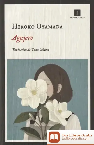 Descargar Agujero de Hiroko Oyamada