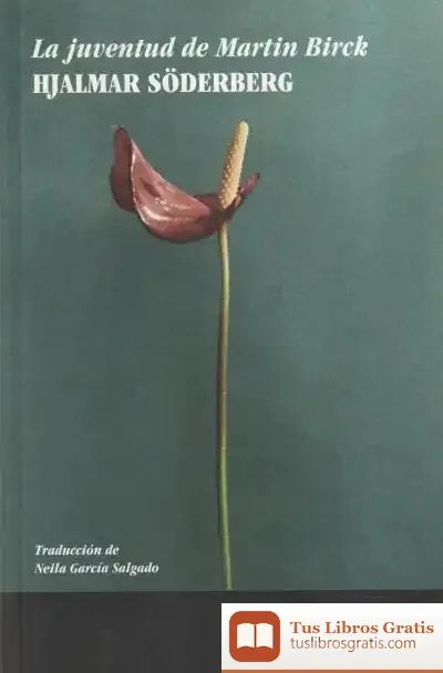 Descargar La Juventud De Martin Birck