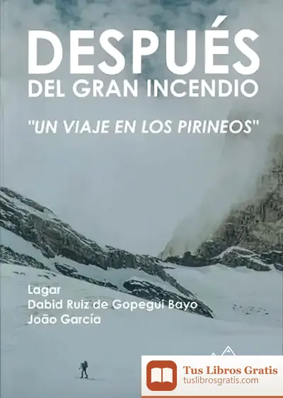 Descargar Después Del Gran Incendio