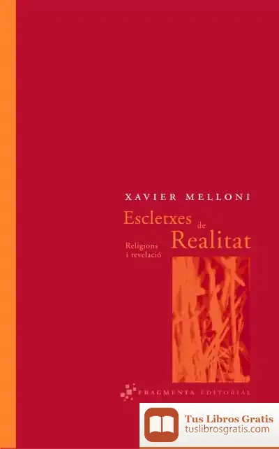 Descargar Escletxes De Realitat de Javier Melloni Ribas