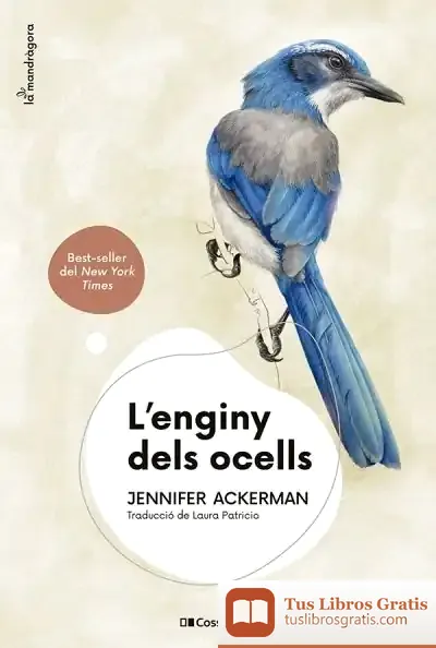 Descargar L'Enginy Dels Ocells