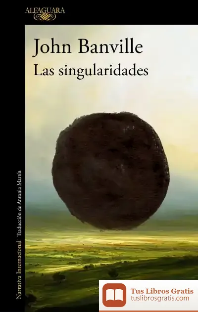Descargar Las Singularidades