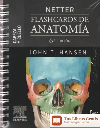 Descargar Netter. Flashcards De Anatomía. Cabeza Y Cuello de John T. Hansen