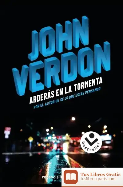 Descargar Arderás En La Tormenta de John Verdon