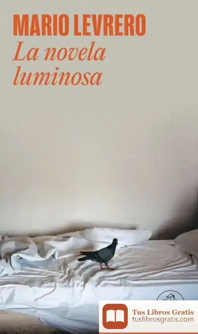 Descargar La Novela Luminosa de Jorge Mario Varlotta Levrero