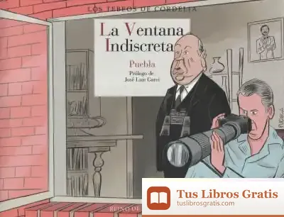 Descargar La Ventana Indiscreta