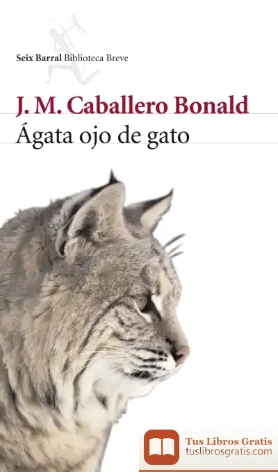 Descargar Ágata Ojo De Gato