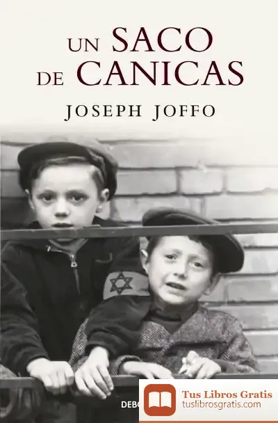 Descargar Un Saco De Canicas