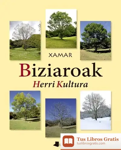 Descargar Biziaroak. Herri Kultura de Juan Carlos Etxegoien Juanarena