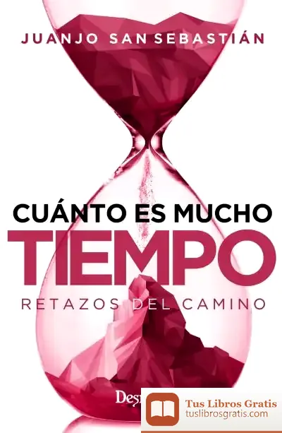 Descargar Cuánto Es Mucho Tiempo de Juan José San Sebastián Arroyo