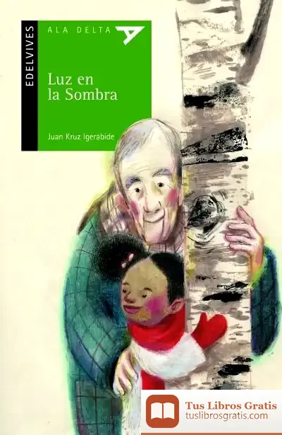 Descargar Luz En La Sombra de Juan Kruz Igerabide